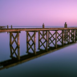 MORNING AT LAKE MONROE